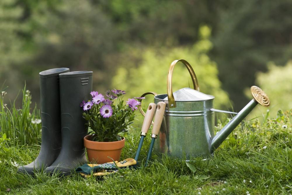 Outillage de jardins